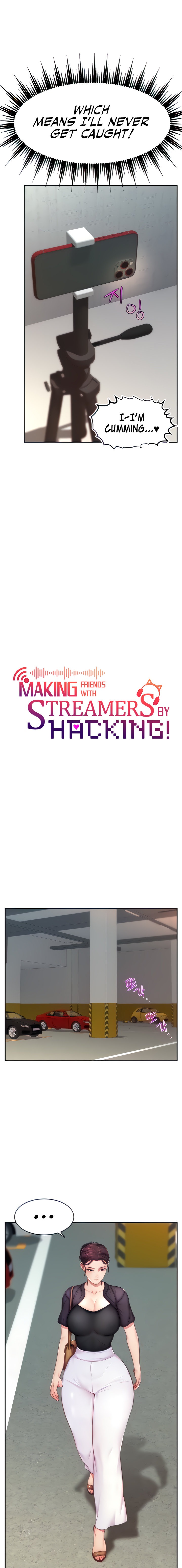 Making Friends With Streamers by Hacking! - Chapter 8 Page 3