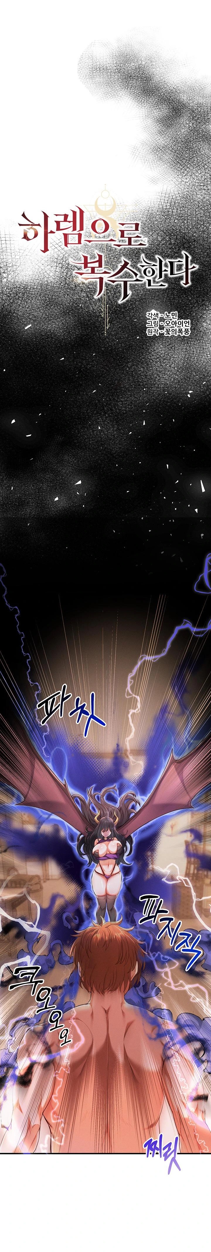 Revenge by Harem Raw - Page 1